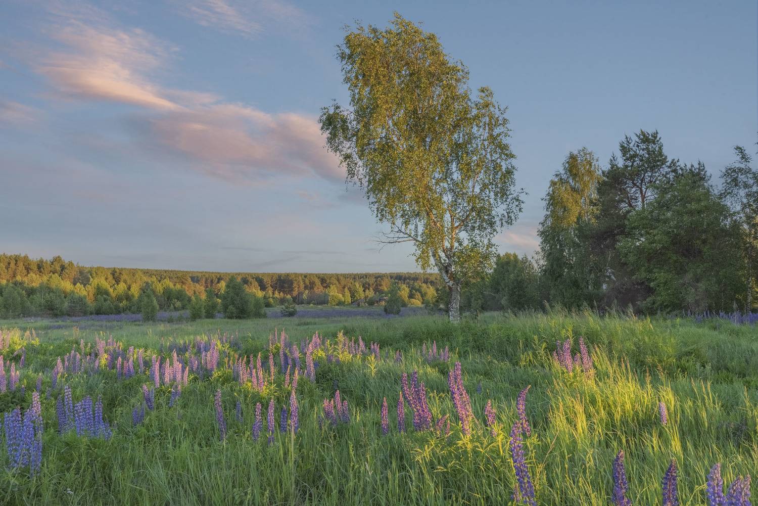 Фототуры с Владимиром Рябковым, #topnature #russpasibo #magic_shots #lovelyRussia #sunset_vision #exclusive_sky  #exclusive_shots #loves_russia2 #photoarena_nature #nature_sultans #nature_perfection #rsa_sky #rsa_sunset #photorussia #rsa_naturepics #sunse, Владимир Рябков