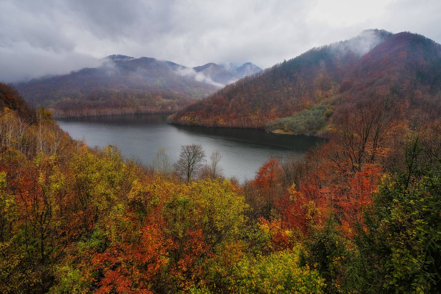 , Chirobocea Stefan