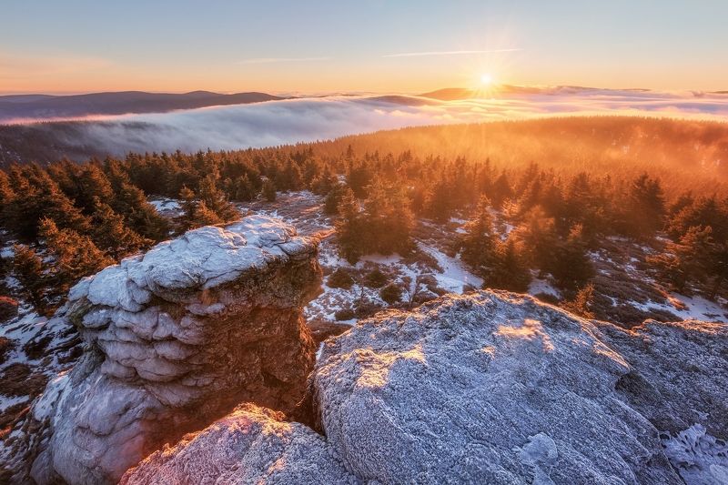 landscape, morning  фото превью