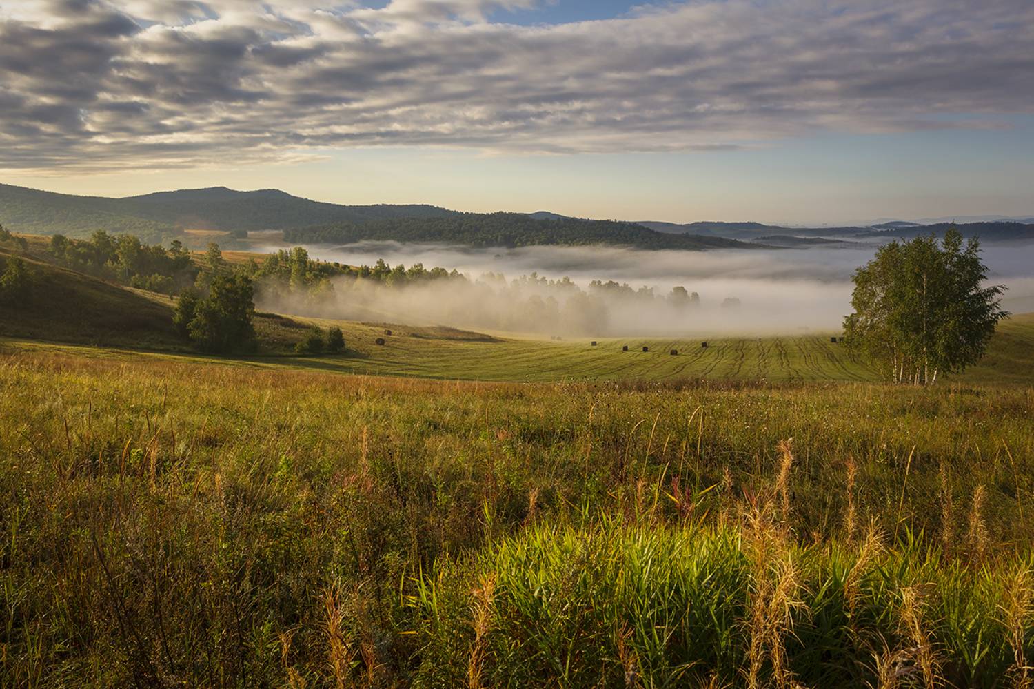 россия, хакасия, утро, туман, пейзаж,, Сергей Шульга