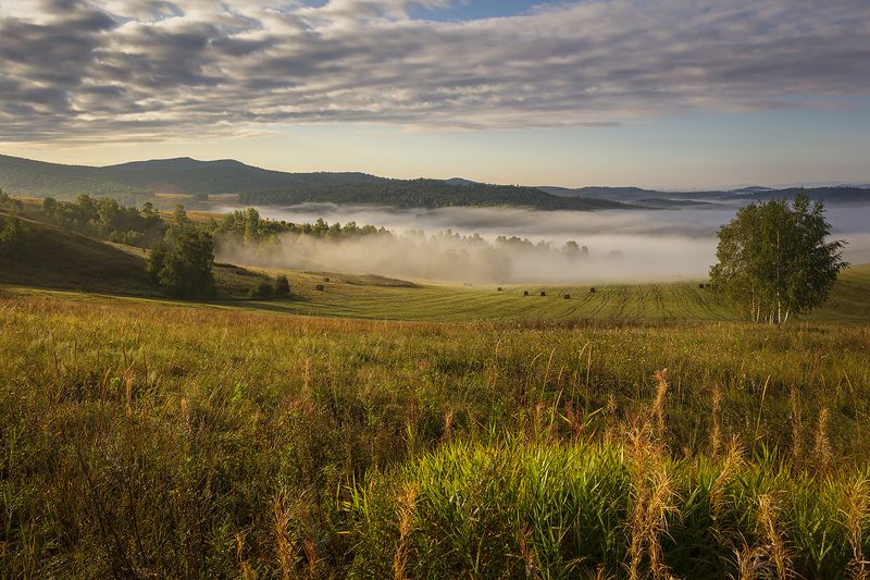 россия, хакасия, утро, туман, пейзаж, Осенним утром. фото превью