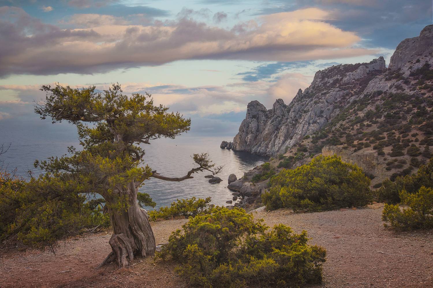 , Костенко Александр