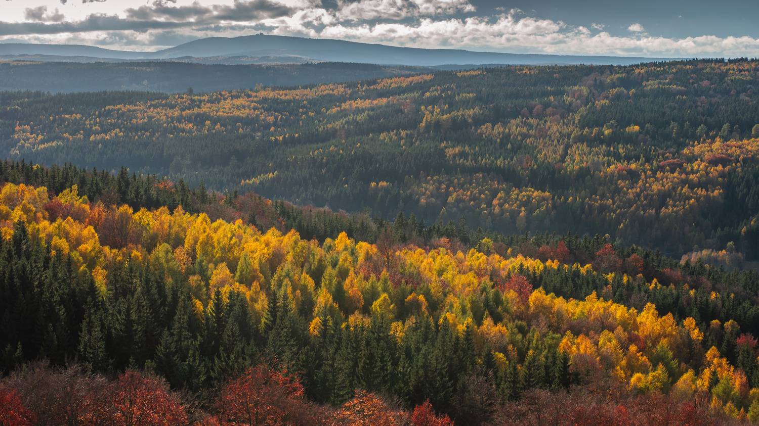 autumn,fall,forest,leaves,sky,colours,czechia,czech, Slavom&iacute;r Gajdo&scaron;