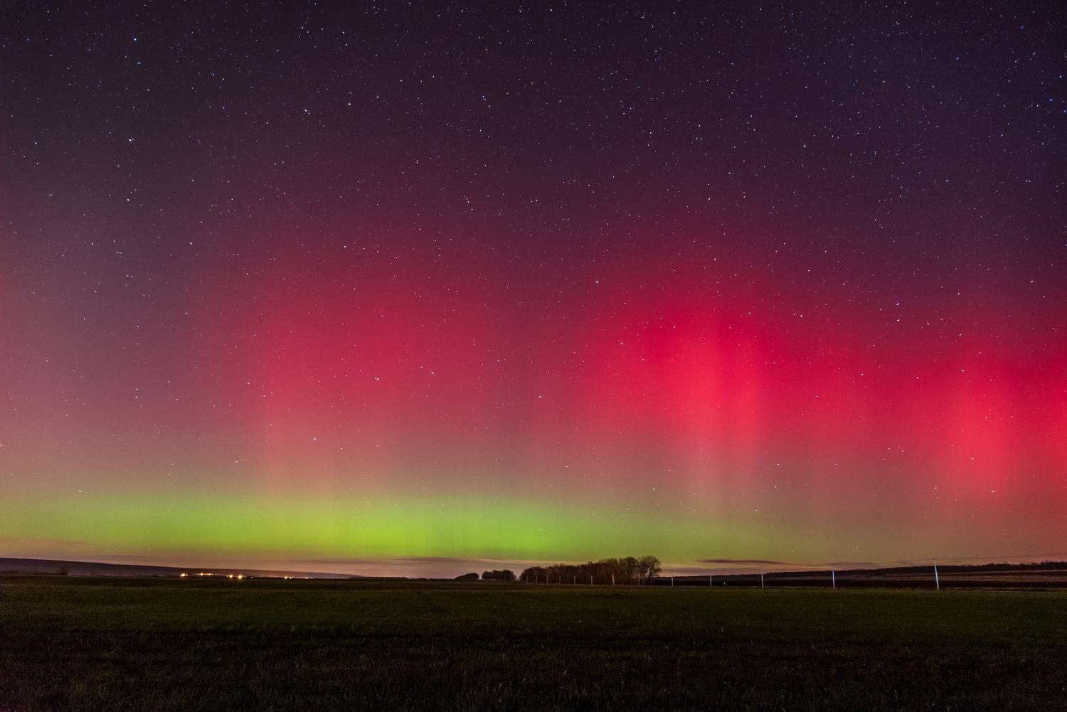северное сияние, полярное сияние, белгородская область, ночь, небо, Александр Литвишко