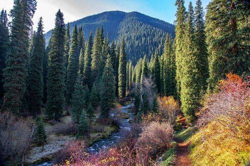 По тропинке в горы