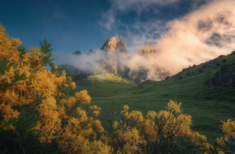 Цей-Лоам фото превью