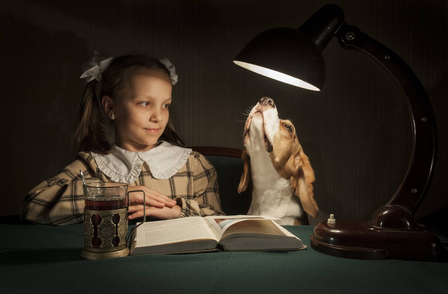 , Виктор Черкасов