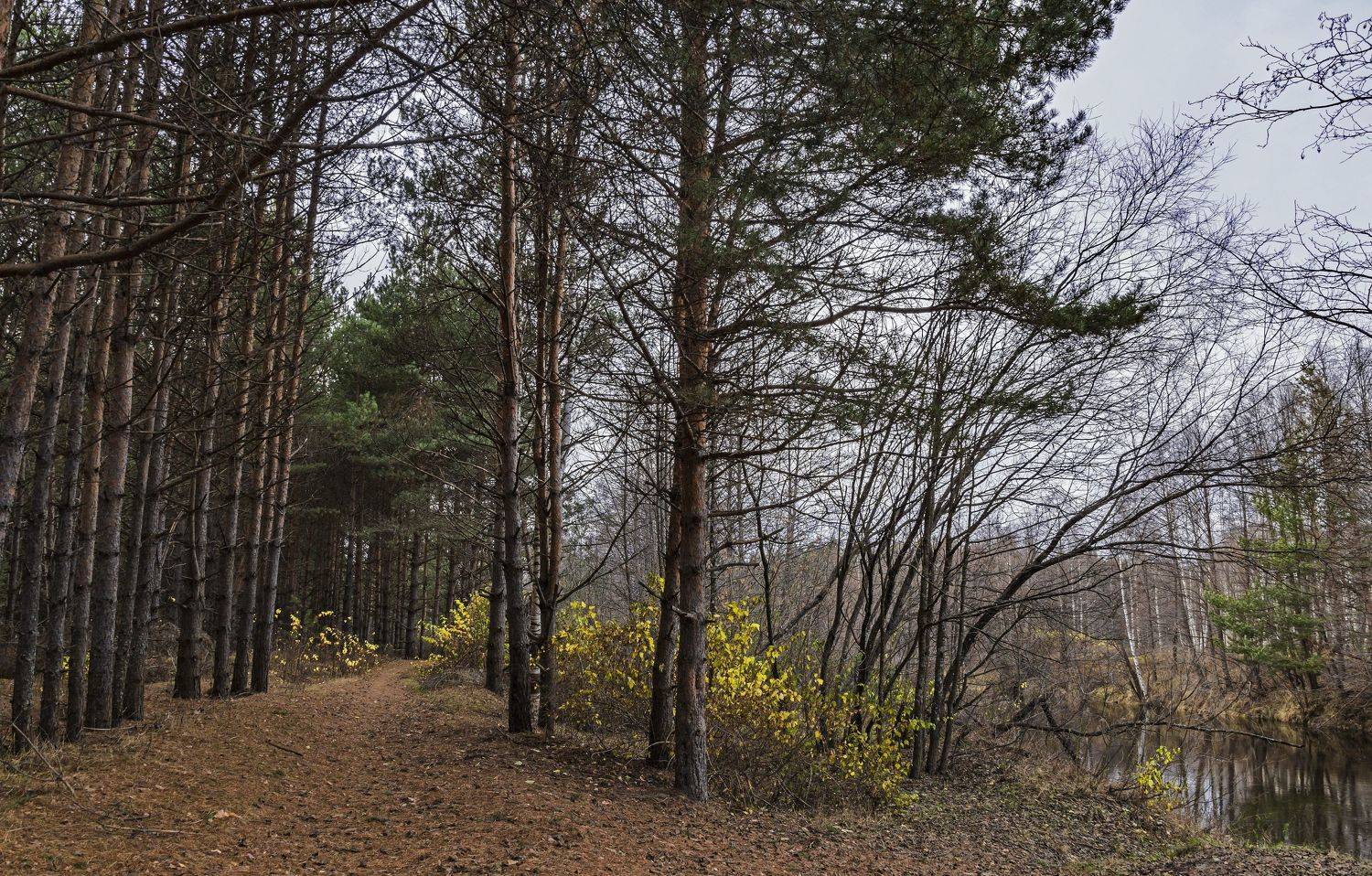 , Шитов Александр