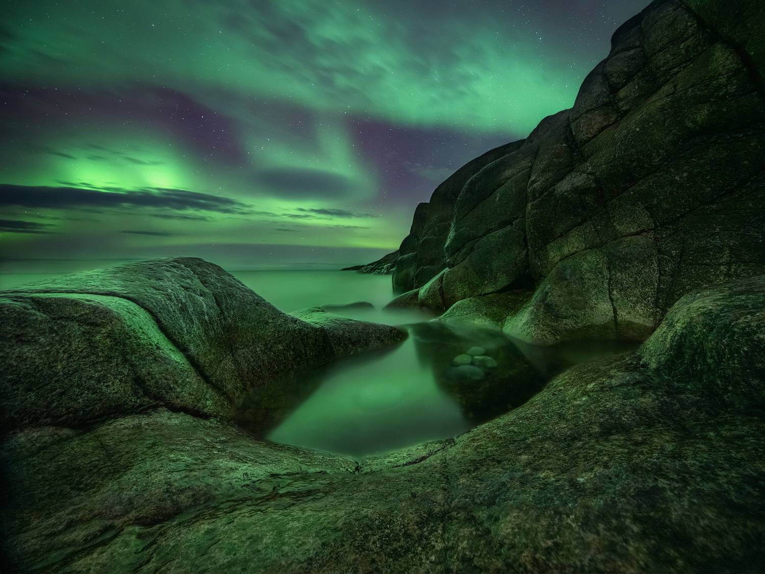 , Елена Ермолина