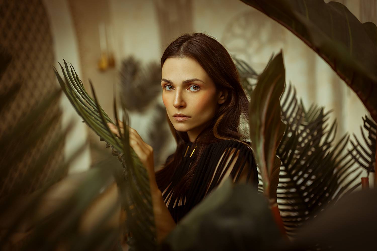 , Денис Котов