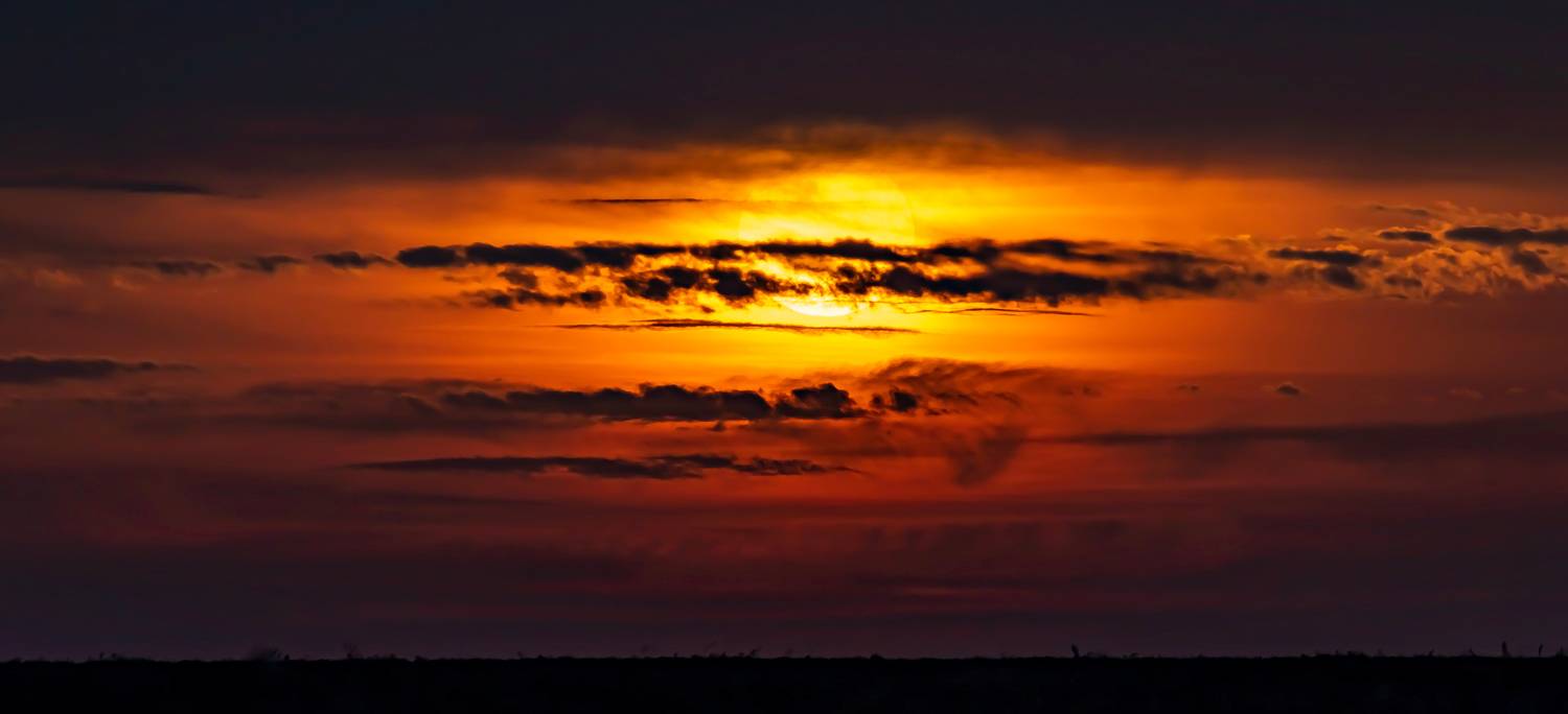 , Подосинников Максим