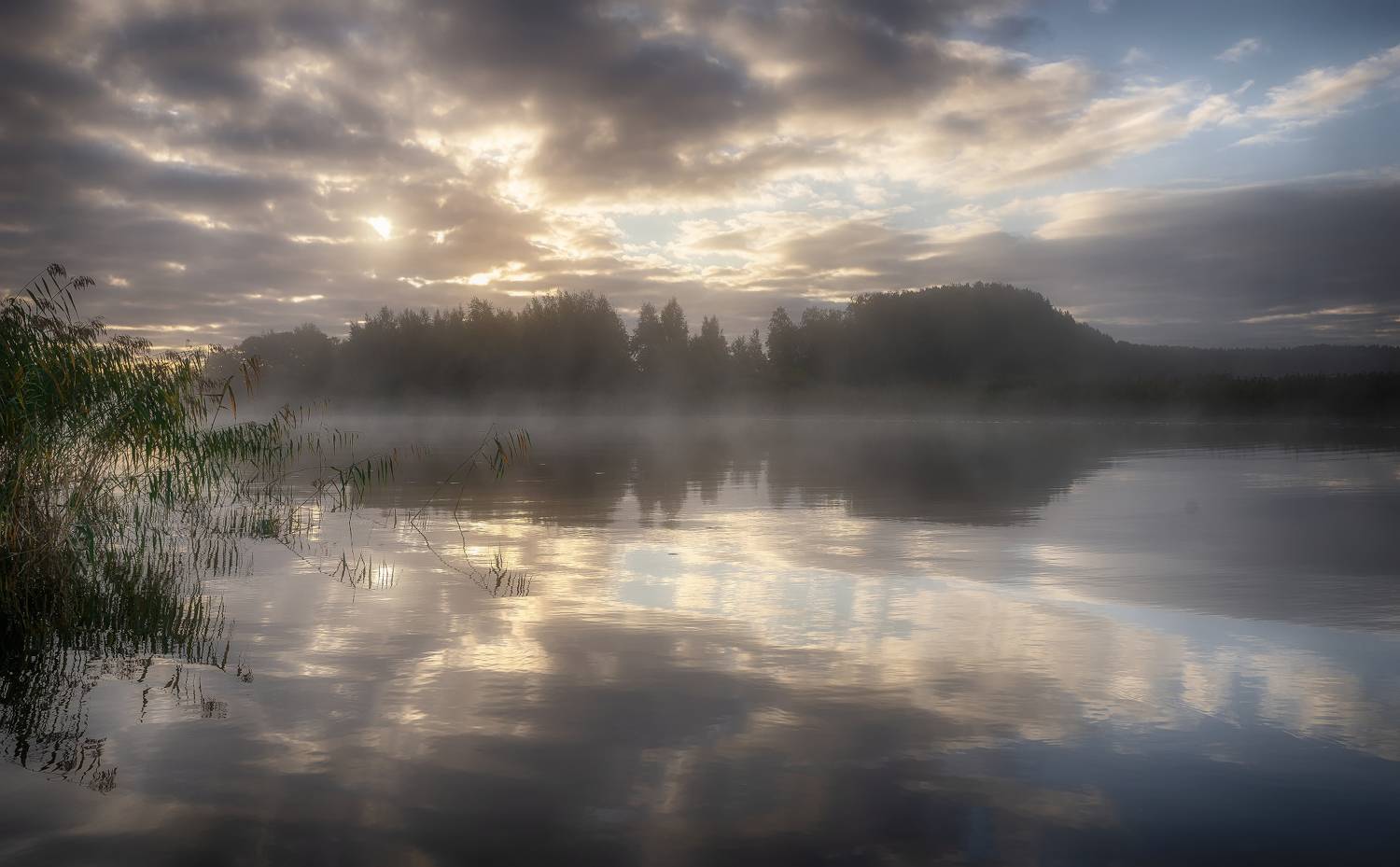 озеро, утро, туман, селигер, Сергей Аникин