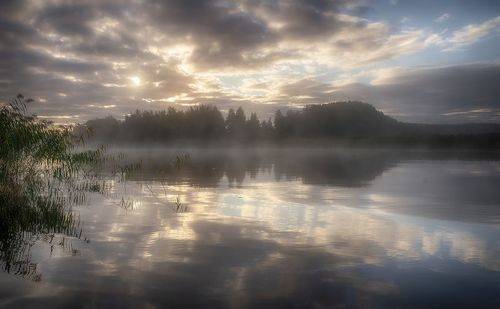 Расстилается туман