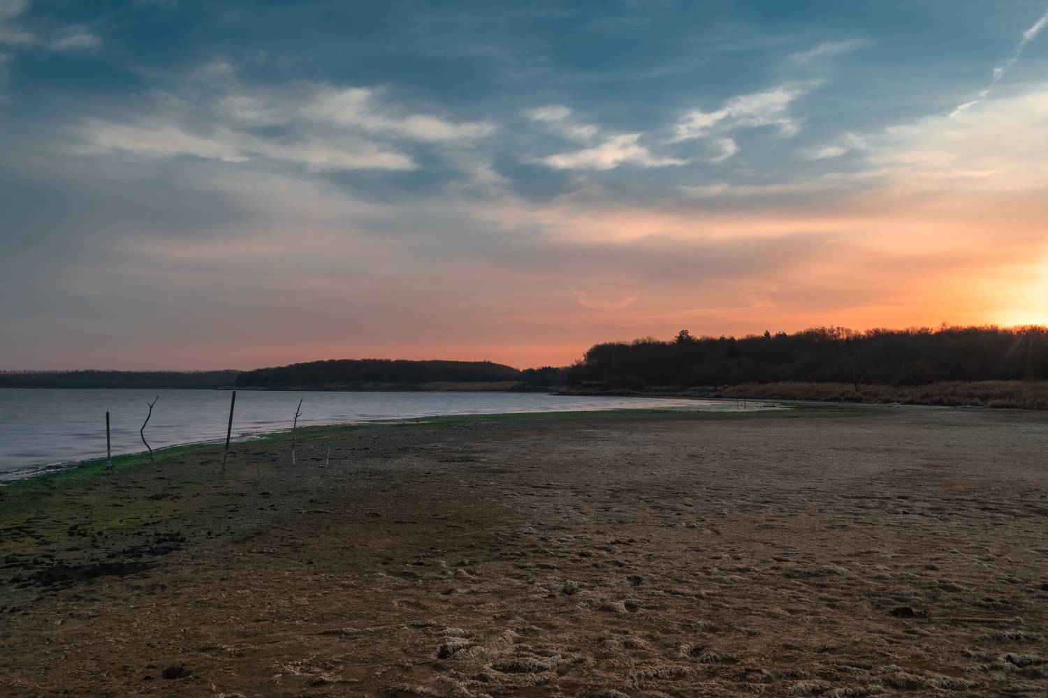 , Алиева Татьяна