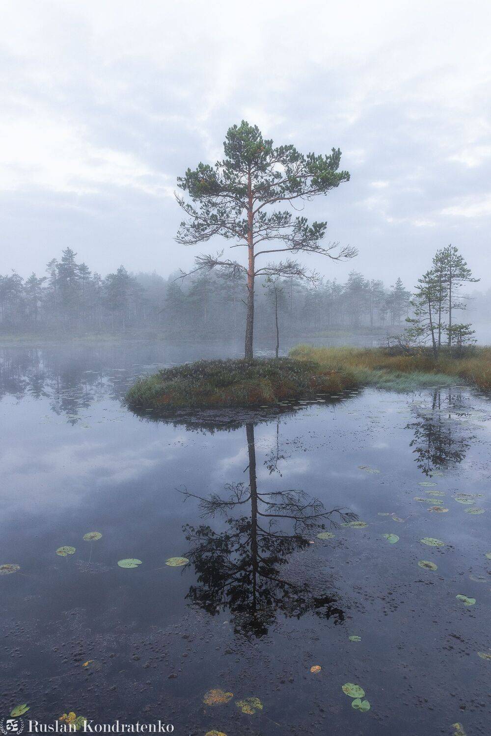 ленинградская область, озеро, рассвет, закат, рыбачье озеро, туман, Кондратенко Руслан