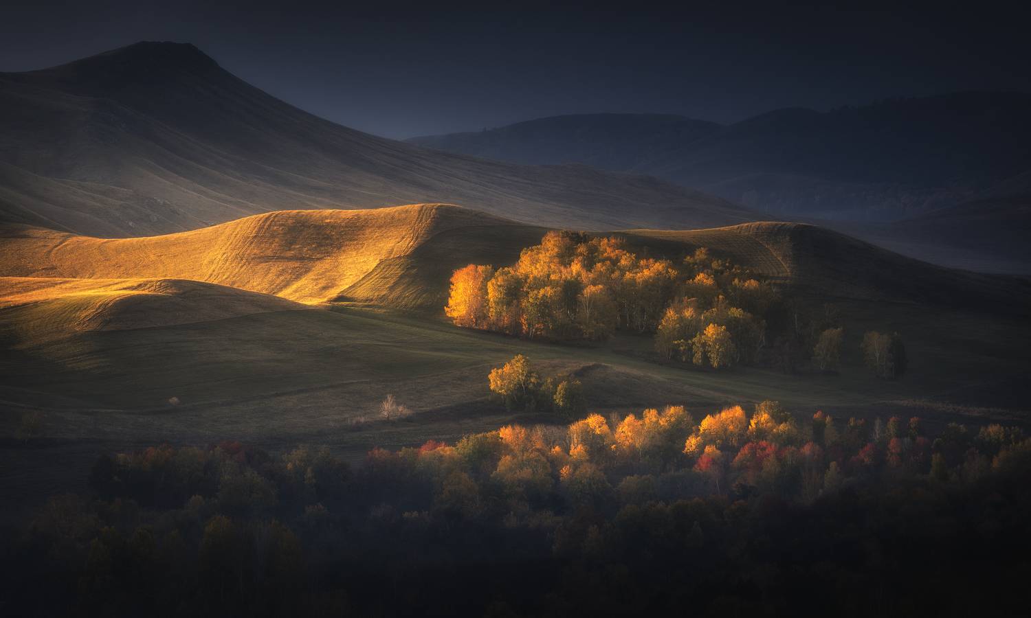 , Бирюкова Татьяна