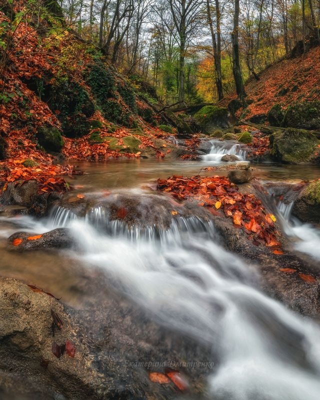 Осень в Хапхальском ущелье фото превью