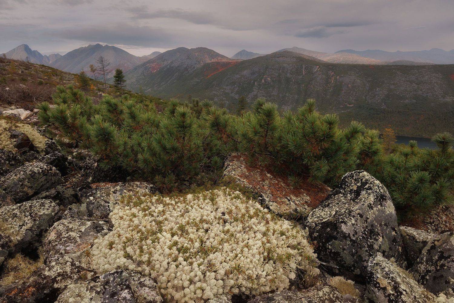 , Морозов Сергей