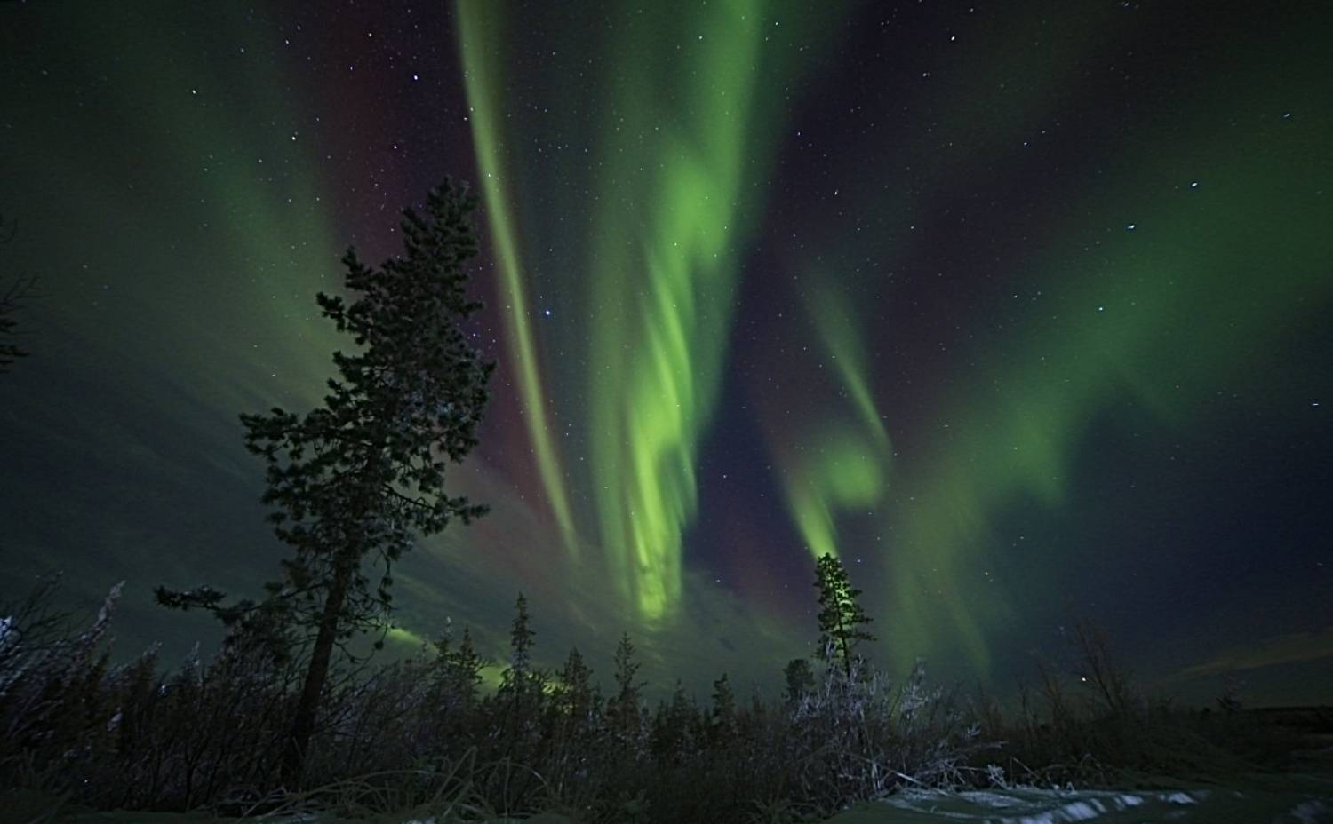 северное сияние, пейзаж, мороз, сосны, водохранилище, природа, север, небо, звезды, Алёна Салтыкова