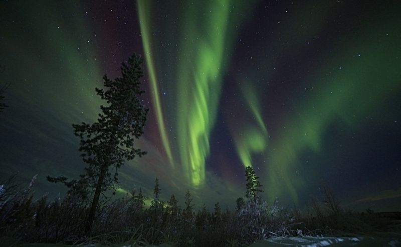 северное сияние, пейзаж, мороз, сосны, водохранилище, природа, север, небо, звезды Буйство красок фото превью