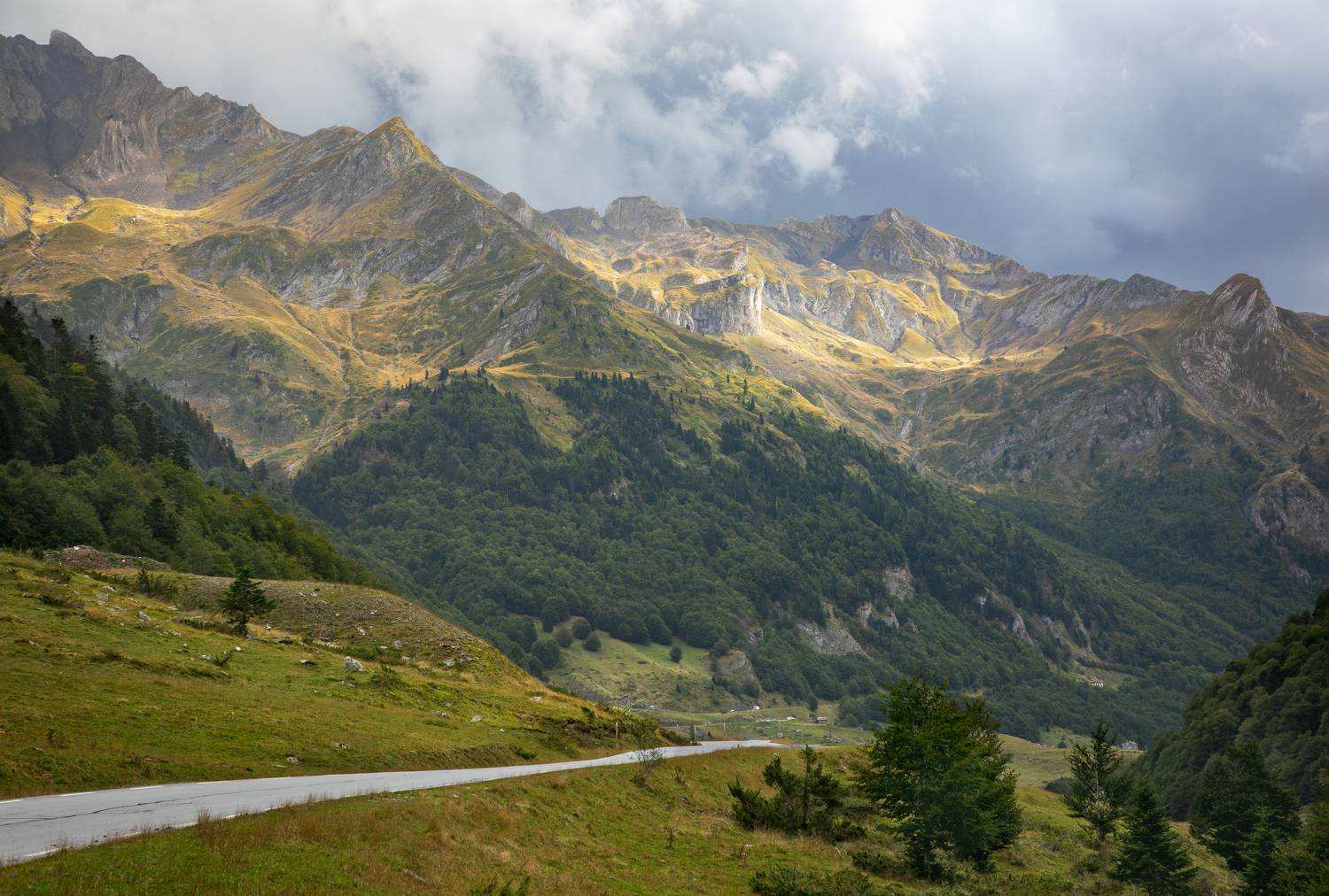 , Алекс Римский