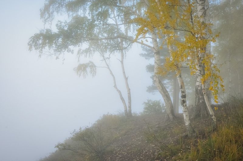 Туман осенью фото превью