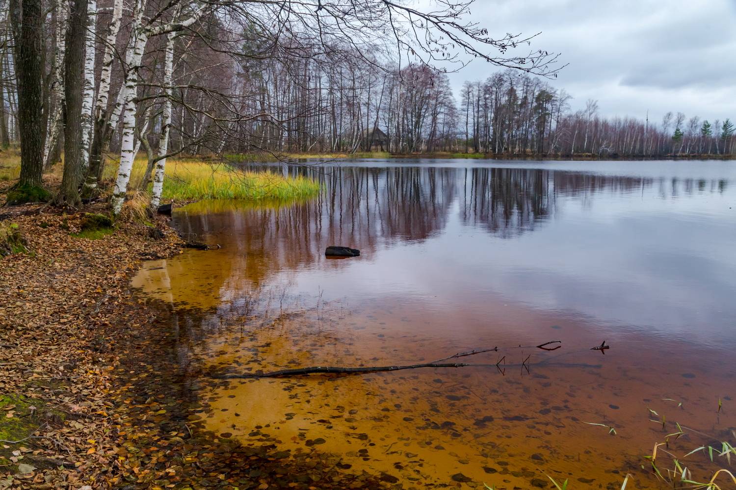 осень, озеро Уржинское, пасмурный день, пейзаж, Юрий Морозов