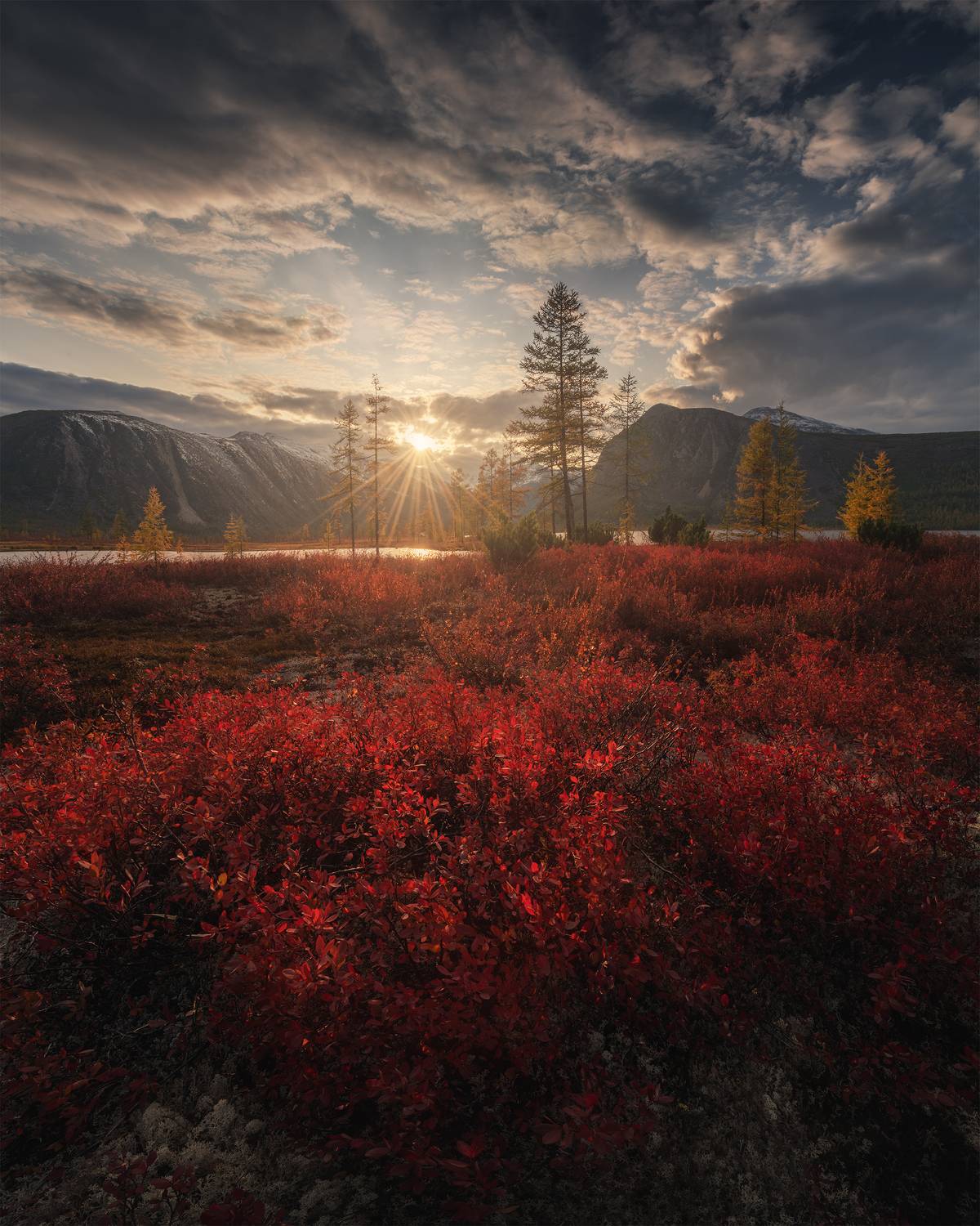 , Политова Анна