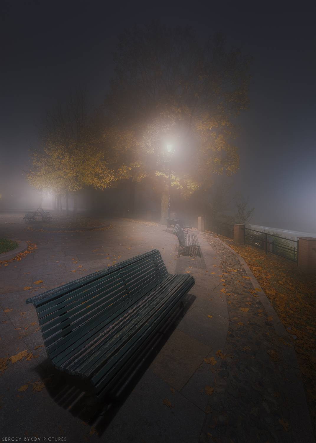 , Быков Сергей