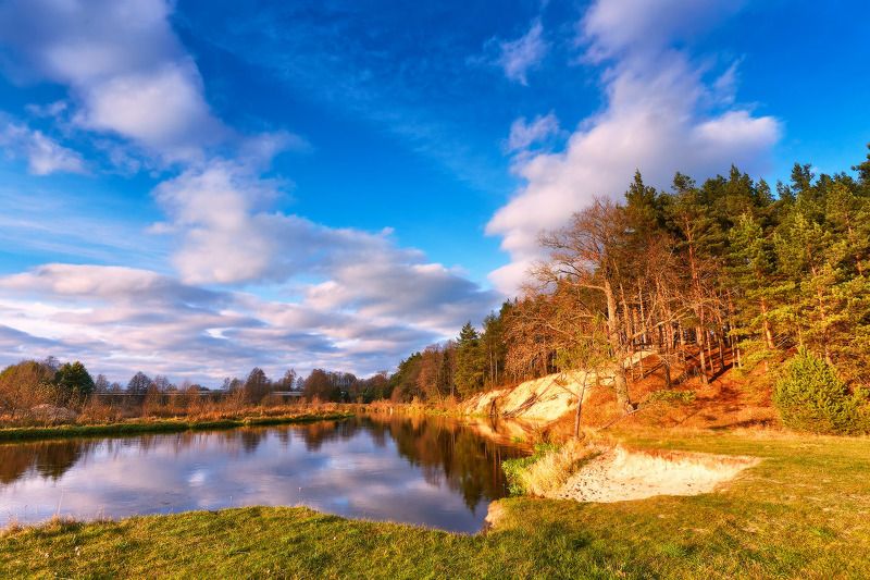беларусь, вечер, лес, ноябрь, облака, осень, река, щара Ноябрь на Щаре фото превью