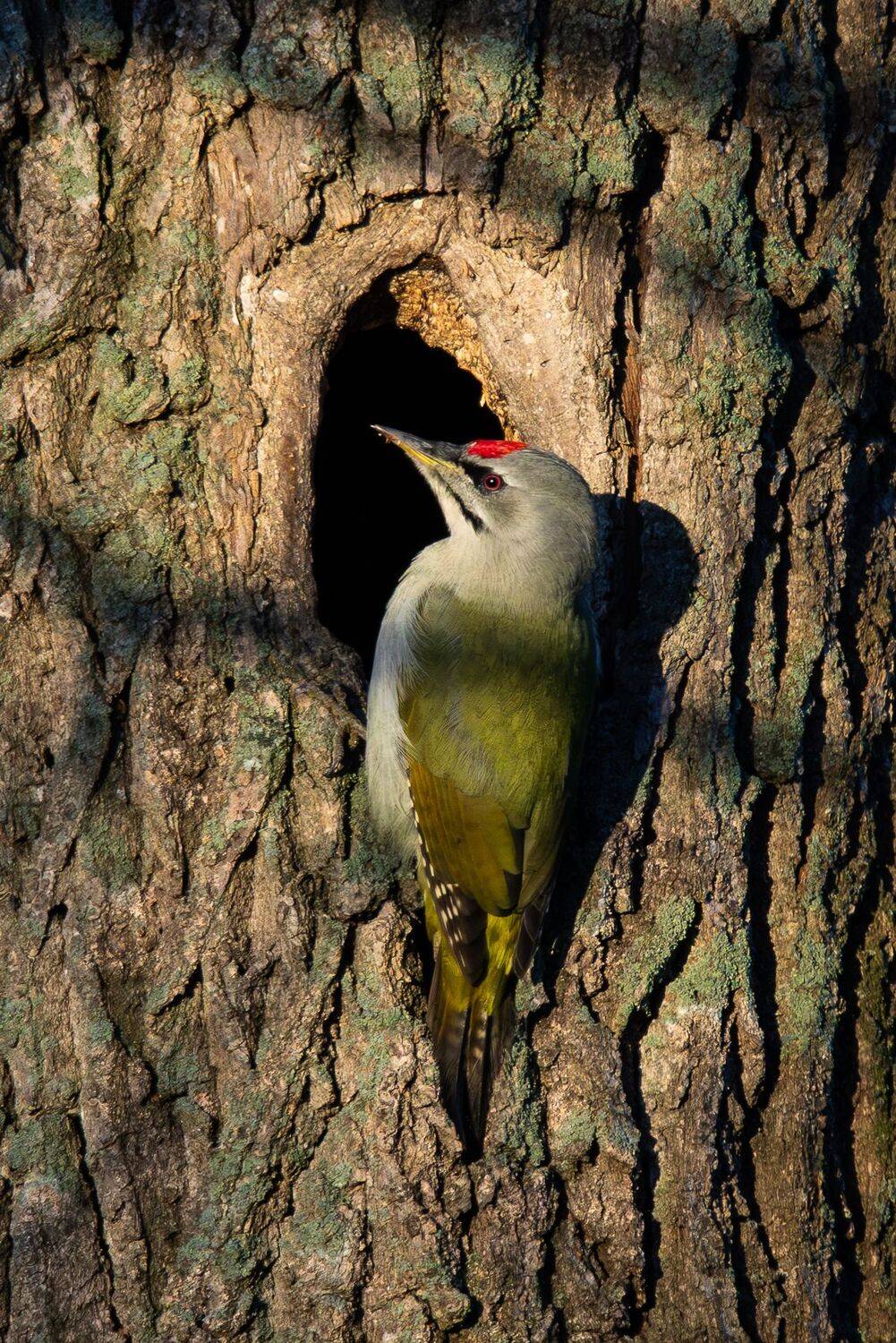 , Гильманов Артур