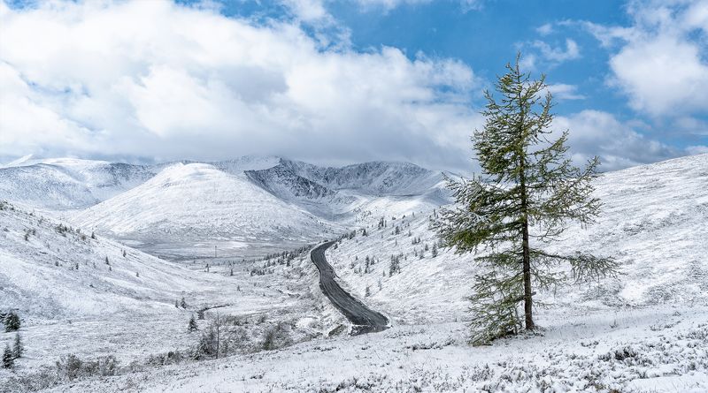 Сотый перевал, зима, дорога, winter, road Сотый перевал фото превью