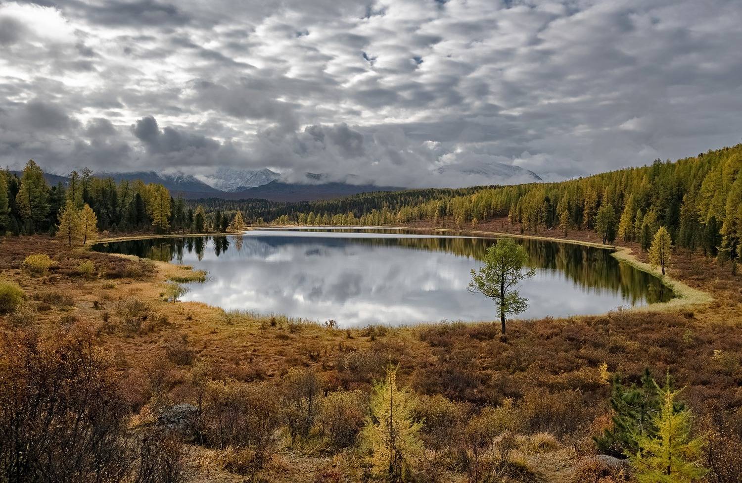 алтай, осень, озеро киделю,, Фомина Марина