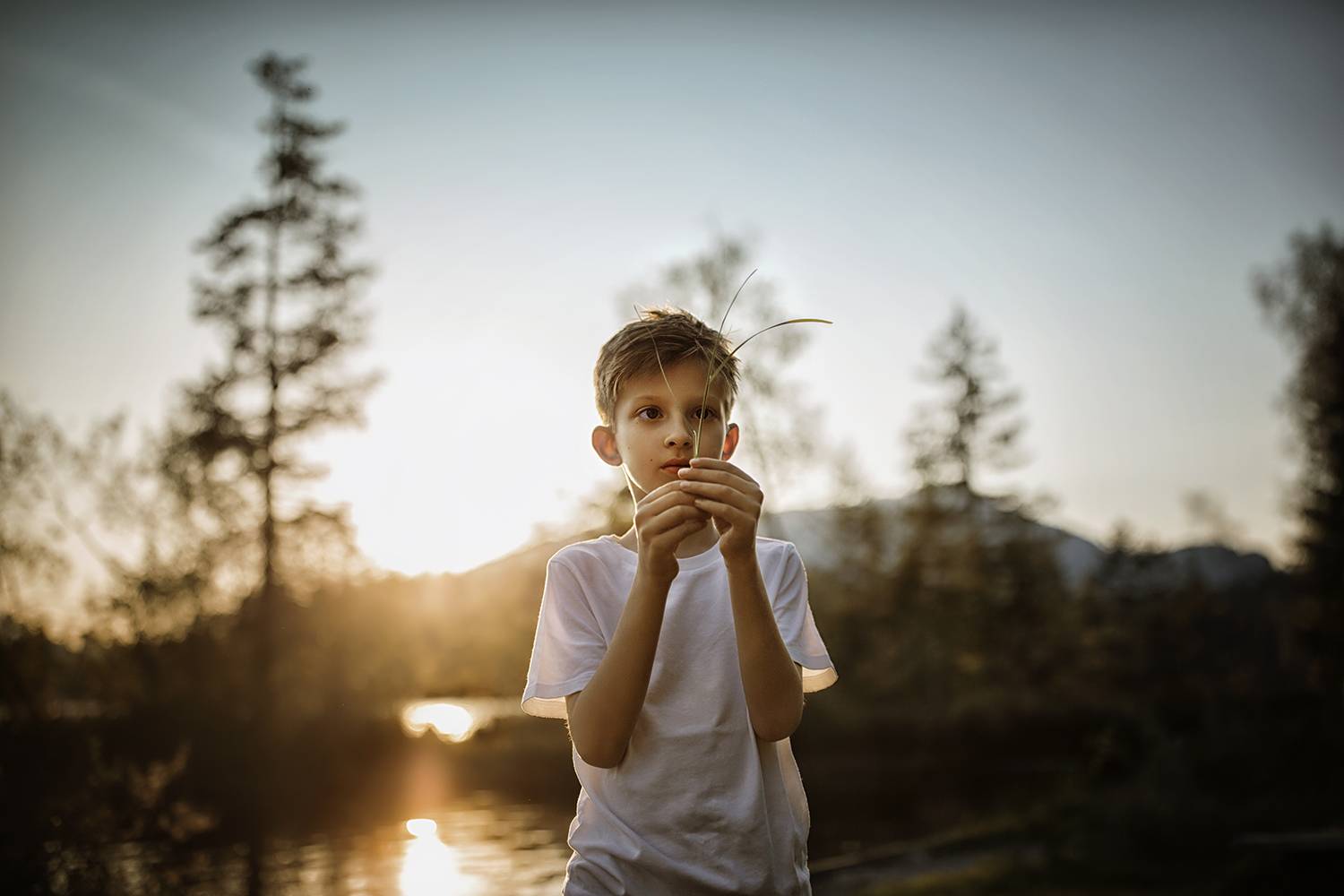 , Desislava Kuleshova