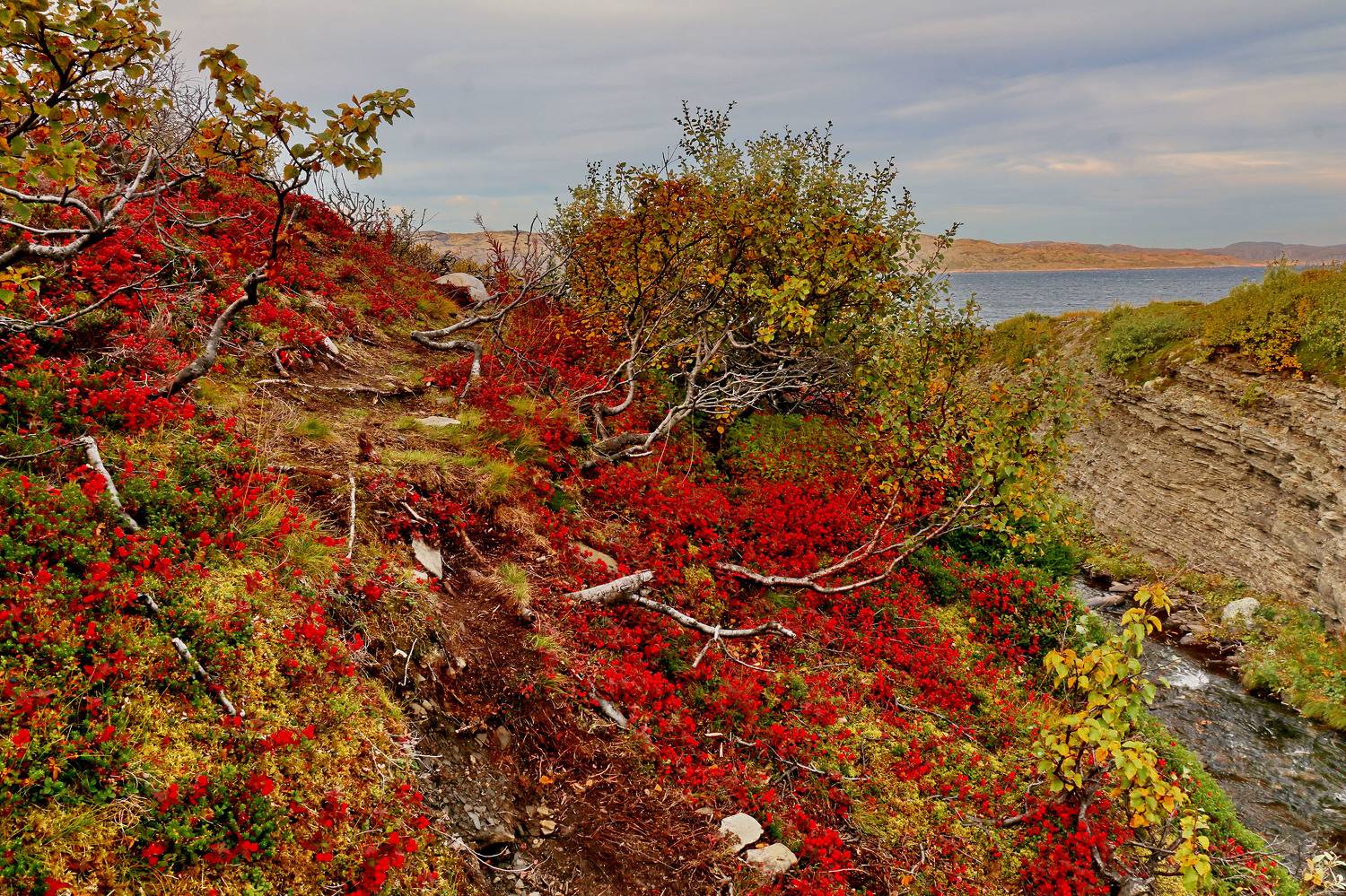 , Добролюбова Тамара