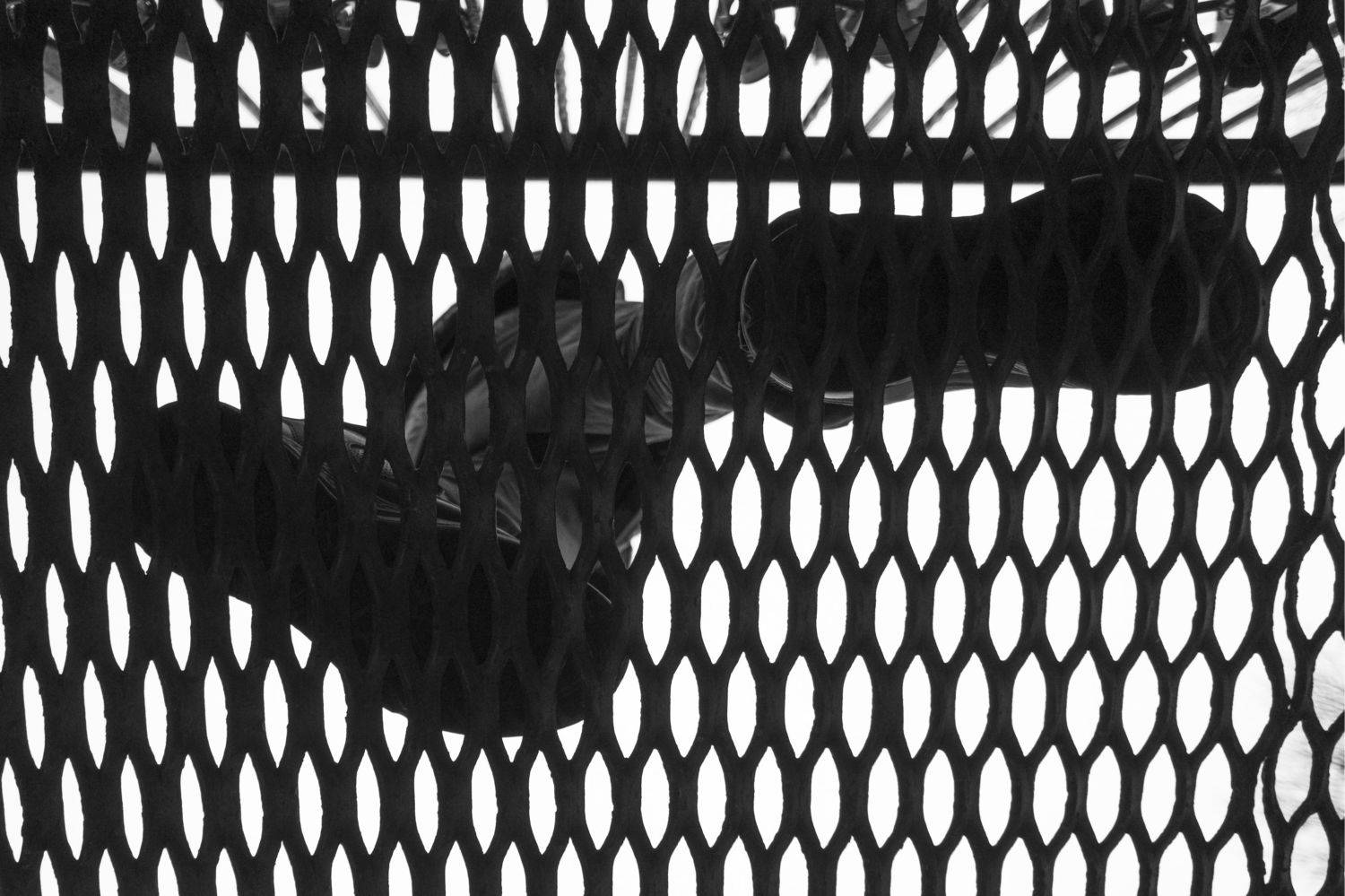 , Алексей Федотов