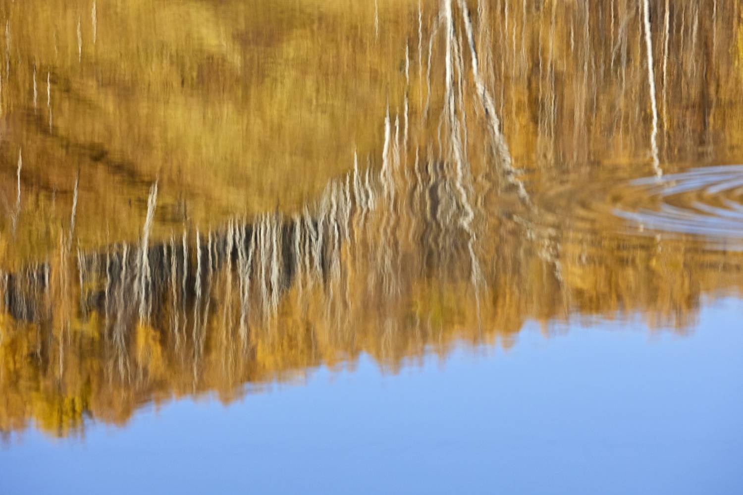 , Байбородин Михаил