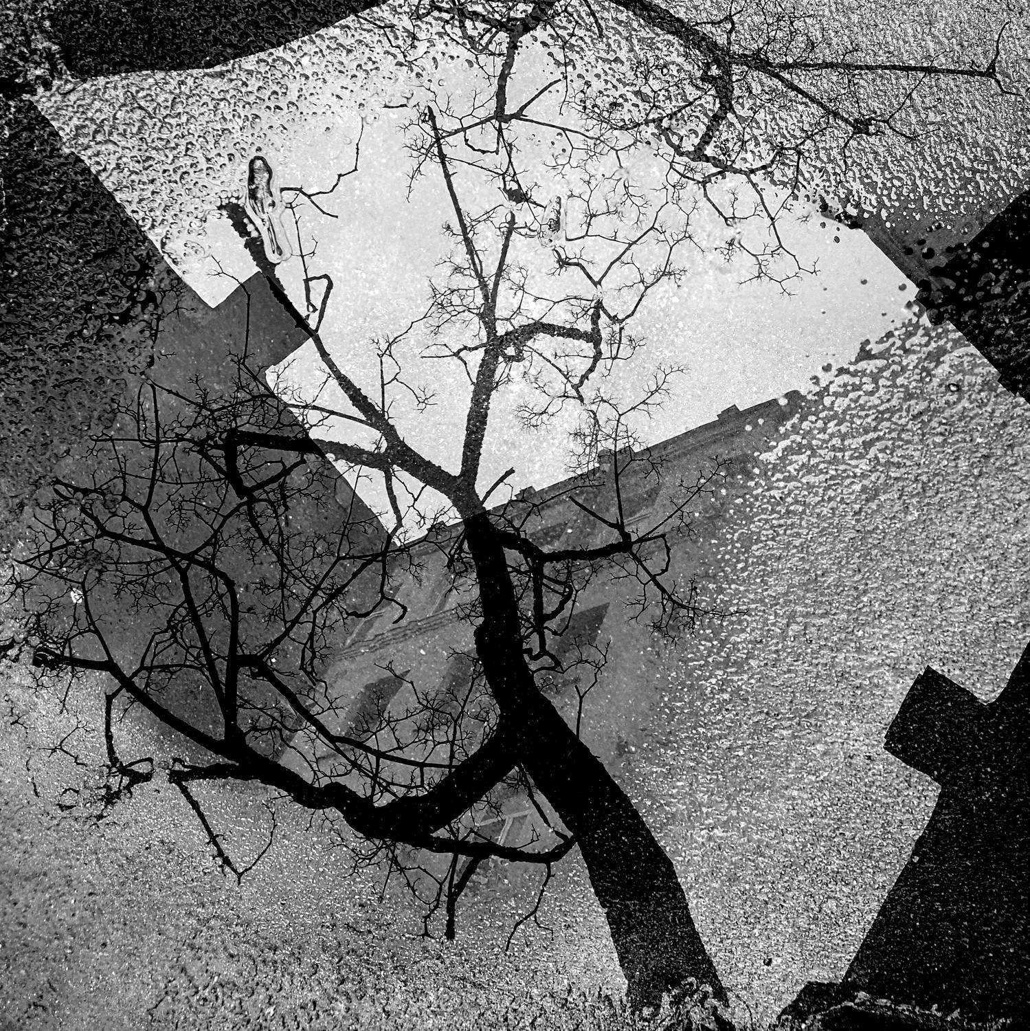 , Антон Лаба