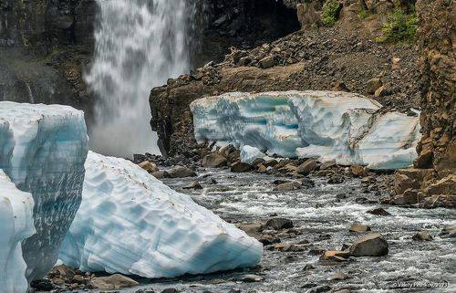 Уксикта крупным планом
