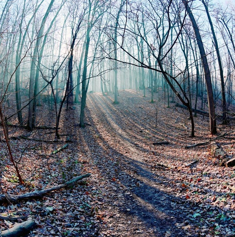 Ноябрь фото превью