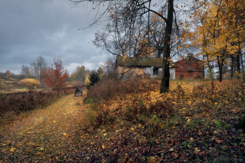 Осень уходит фото превью