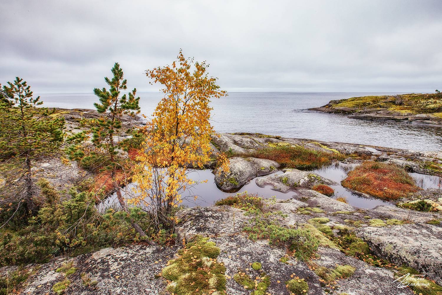 ладога, шхеры, Липецких Владимир