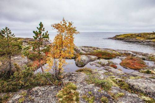 Ладожские шхеры