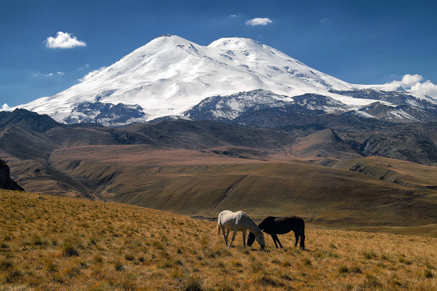 горы, кавказ, приэльбрусье, эльбрус, лошади, Михаил Голубев