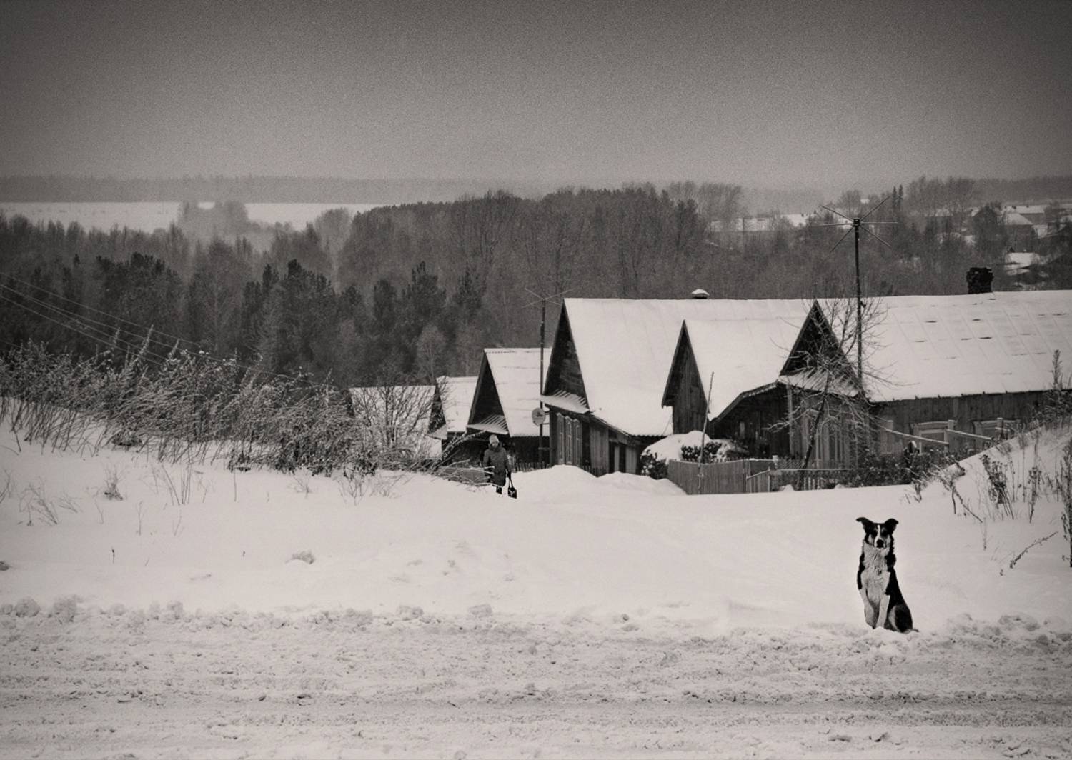 , Александр  Швачко