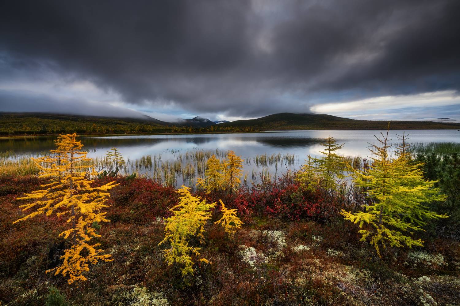 , Максим Евдокимов