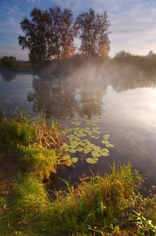 лето, утро, рассвет, озеро, вода, свет В утреннем свете фото превью