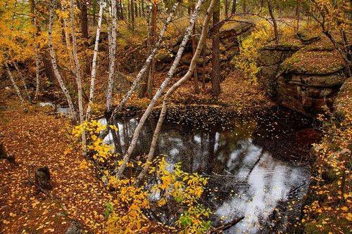 Осенний лес