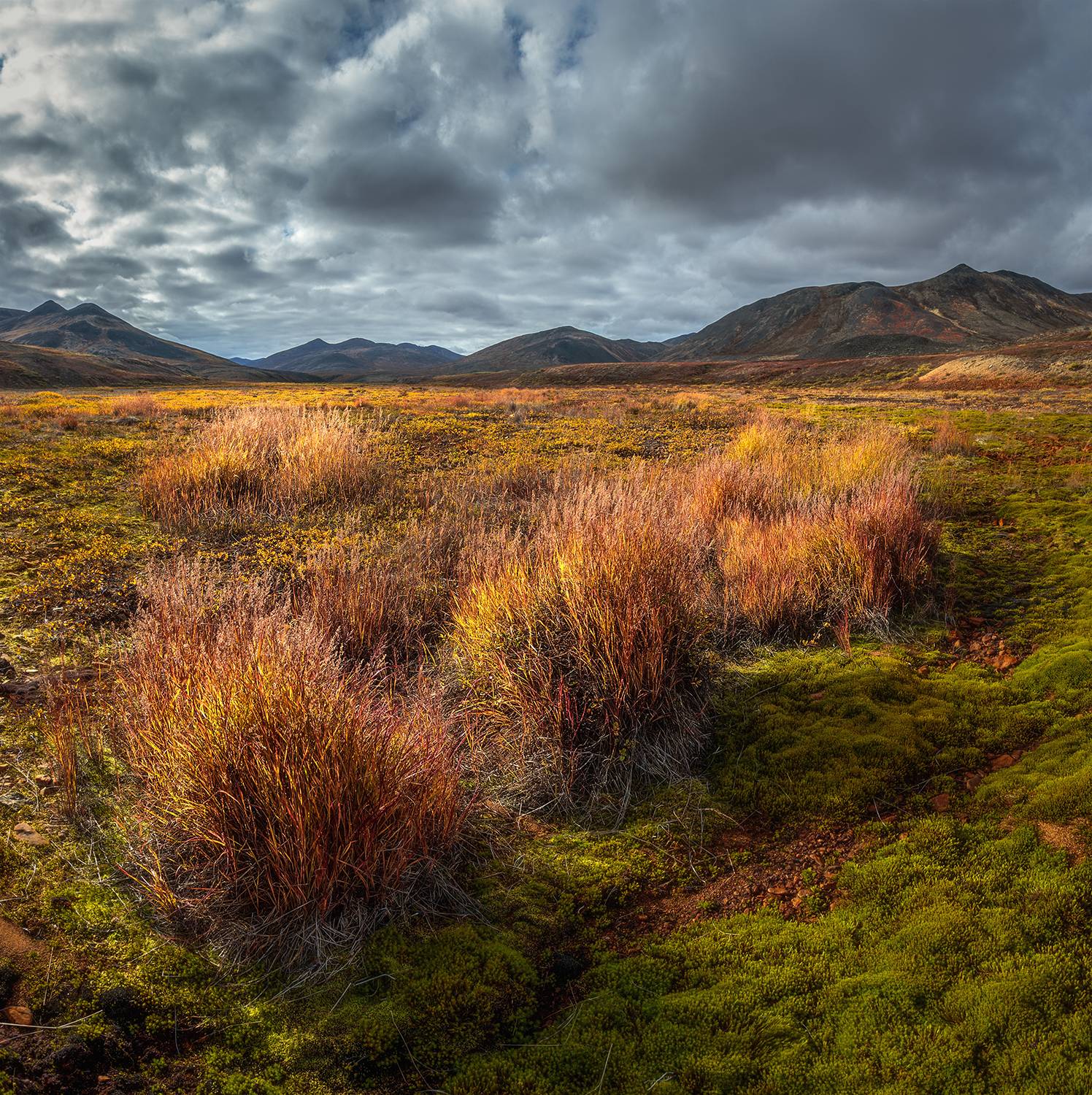 , Андреев Николай