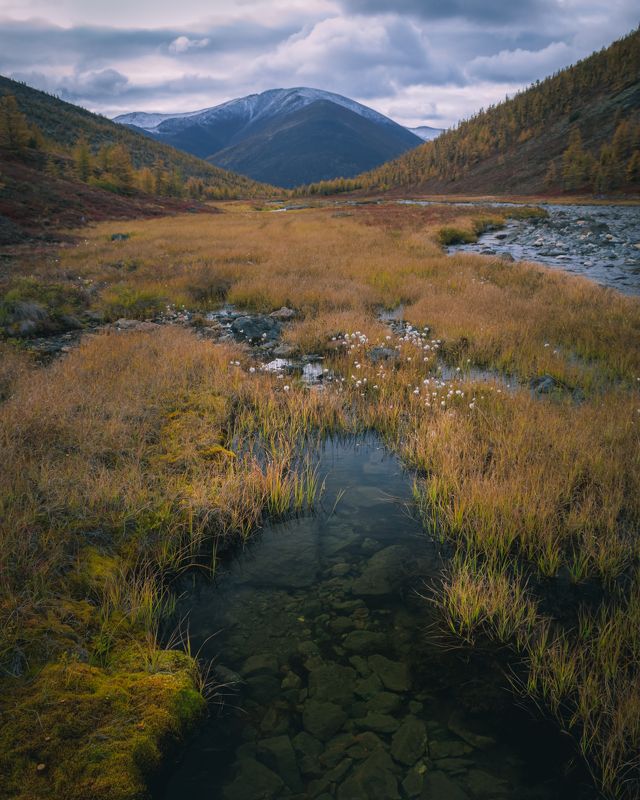 пейзаж, осень В осень... фото превью